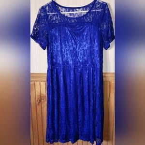Royal Blue Lace Dress